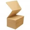 Hartie Kraft Pentru Sistem FasFil 1500 Lungime 366 m, Latime 381 mm, Straturi 1, Material Hartie Kraft, Gramaj 57 gr/mp-Masin...