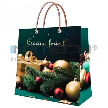 Ajándéktasakok, személyre szabott, fényes megjelenés, 190 g/m², fényes laminálás, méretek mm-ben (H × Sz × M) 235 x 240 x 100, zsinórfül, 190 g/m² papírsúly