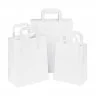Pungi Hartie Cu Maner Rasucit, Alb/Natur Dimensiuni 240 x 110 x 260 mm, Tip Maner Sfoara, Material Hartie 90 gr/m2, Culoare A...