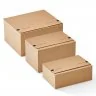 Cutie Din Carton Cu Folie De Retentie ColomPac®, 230 x 160 x 80 mm Dimensiune Interioara 230 x 160 x 80 mm, Dimensiune Exteri...